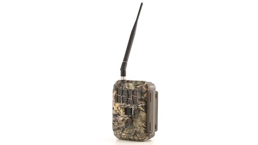 Covert Scouting Black Viper Trail/Game Camera 12 MP 360 View - image 1 from the video